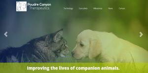web-design-for-poudre-canyon-therap